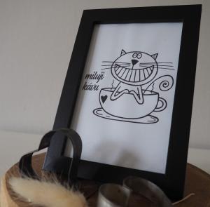 Kočičí milovnice kávy